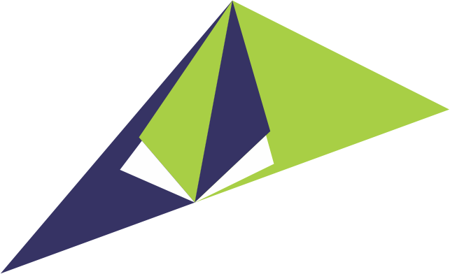 Flying Logo